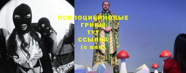 молекула духа Аркадак