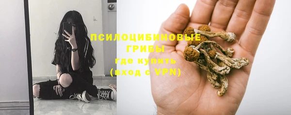 молекула духа Аркадак