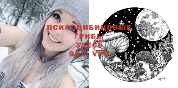 mdpv Арсеньев