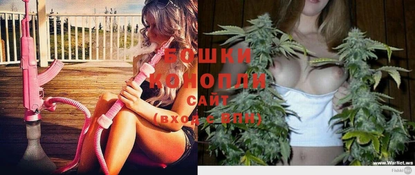 молекула духа Аркадак