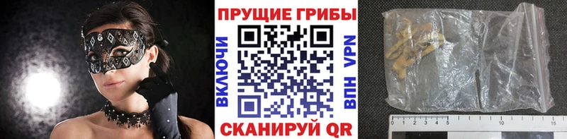 дарнет шоп  Бирюсинск  Галлюциногенные грибы GOLDEN TEACHER 